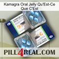 Kamagra Oral Jelly What Is It viagra5